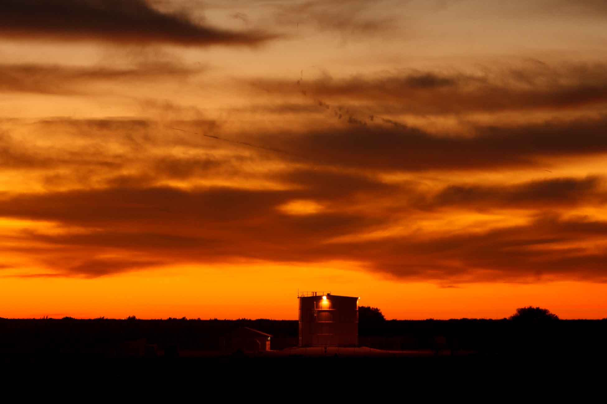 Polygamy in the American West