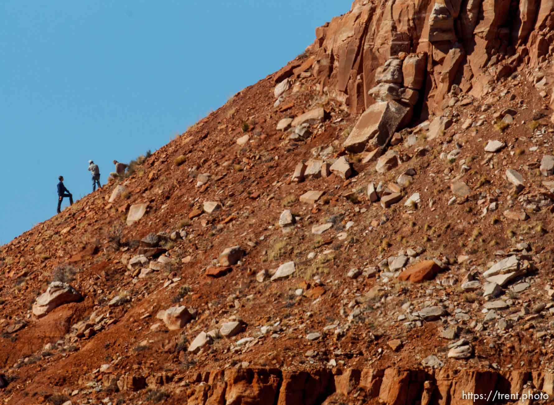 Canon EOS-1D Mark IV