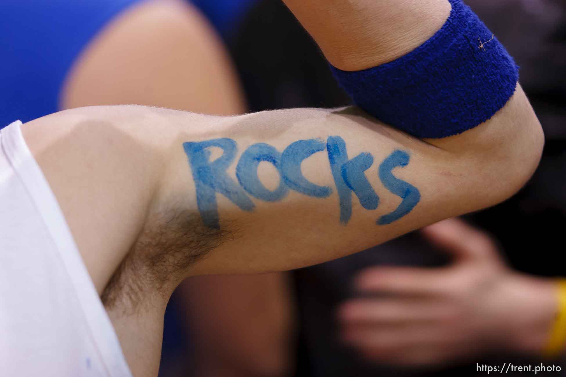 Canon EOS-1D Mark II N