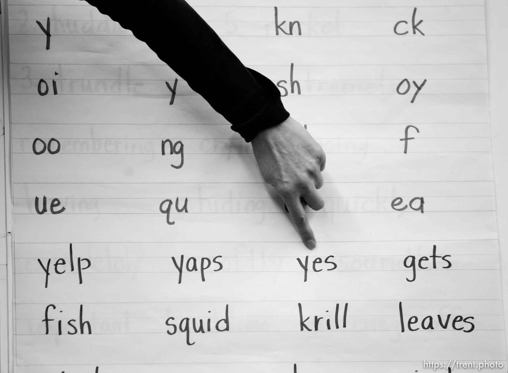 Canon EOS-1D Mark II N