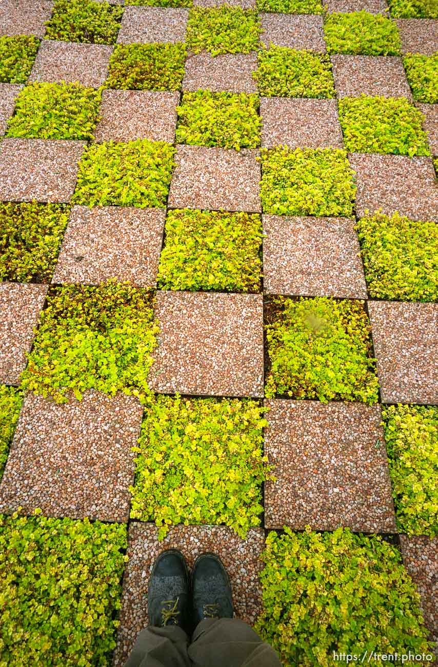 19980217-Johannesburg