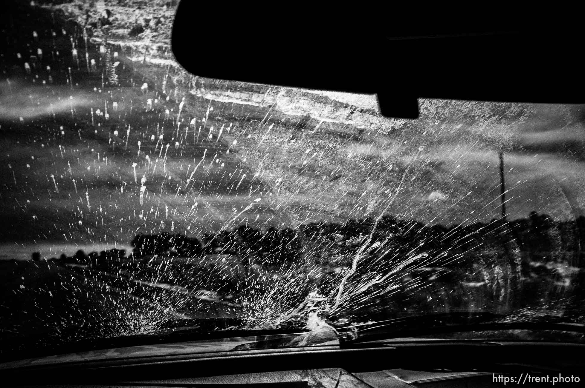 Windshield