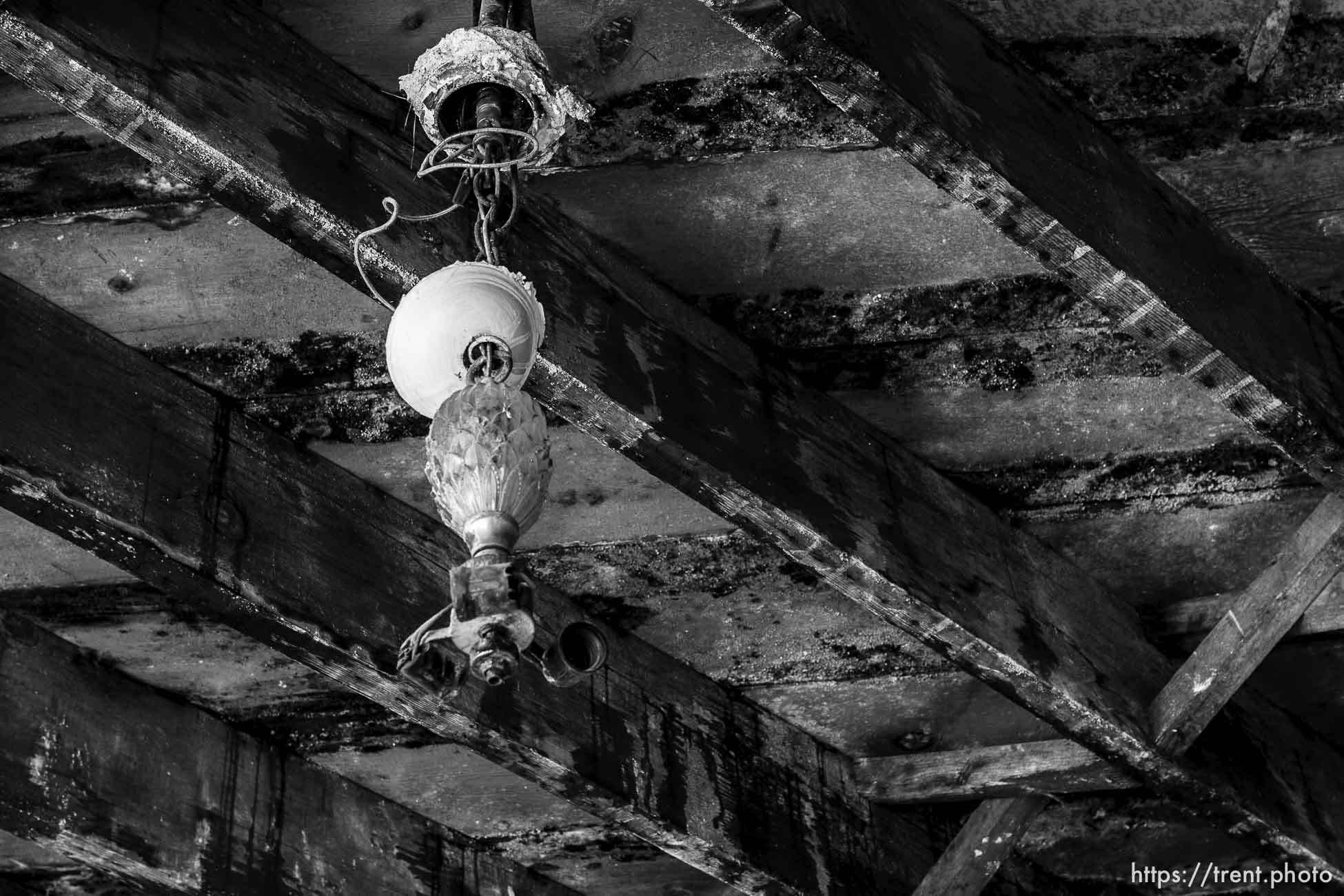 Canon EOS-1D Mark II N