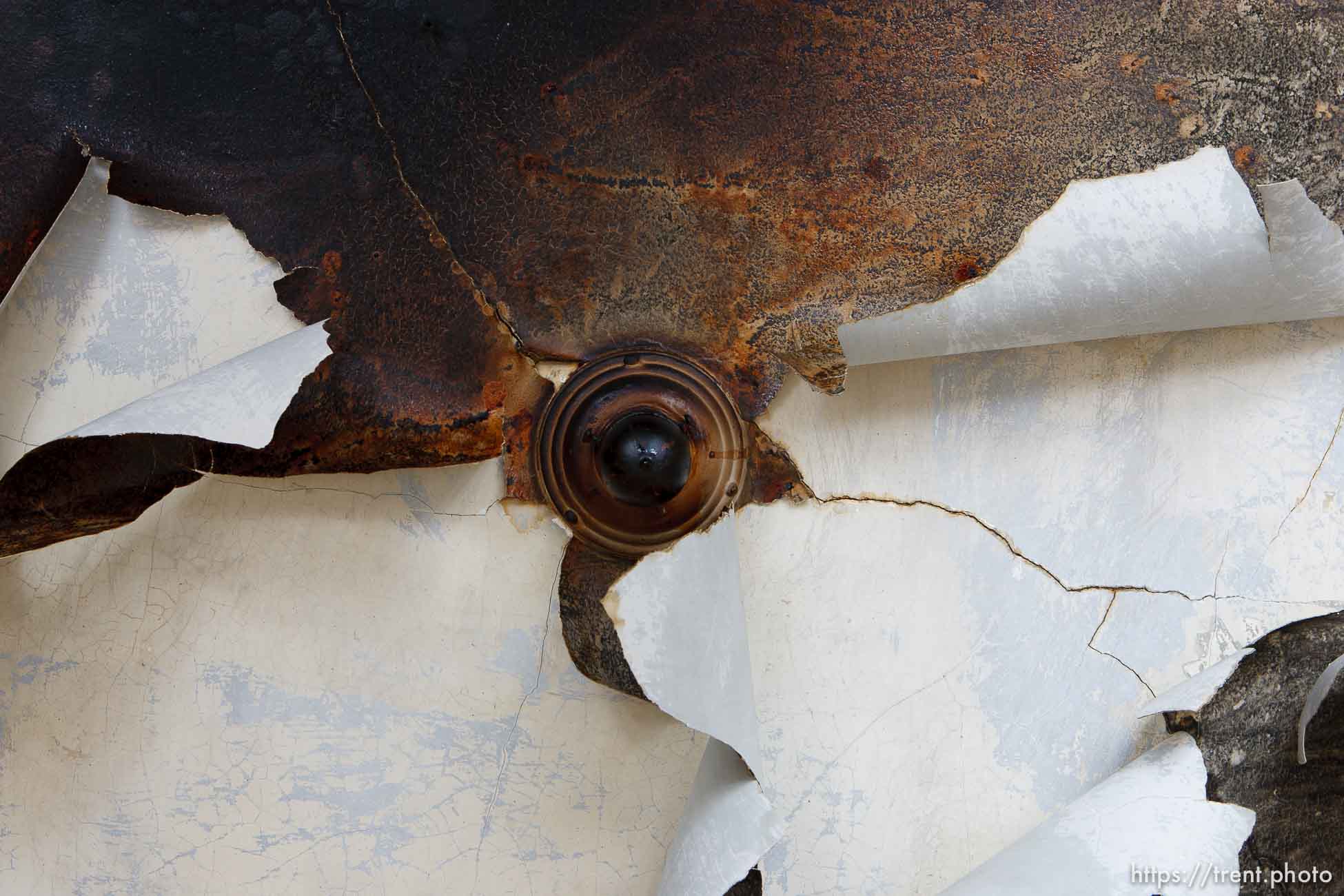 Canon EOS-1D Mark II N