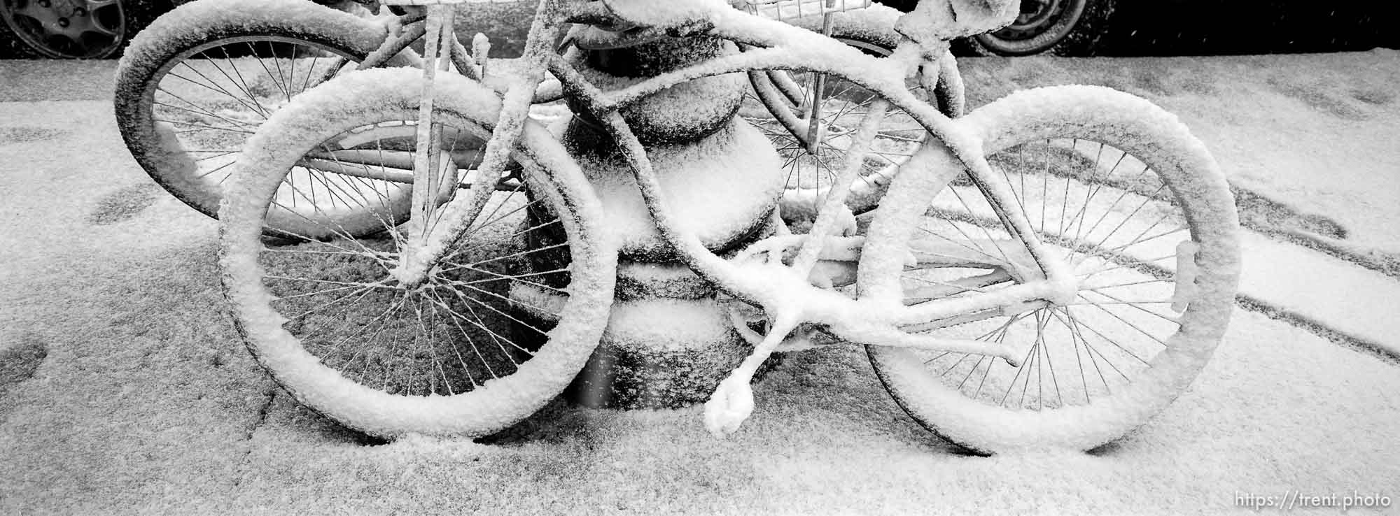 Snow Covered Bikes