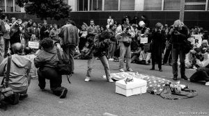 Photographers photograph 