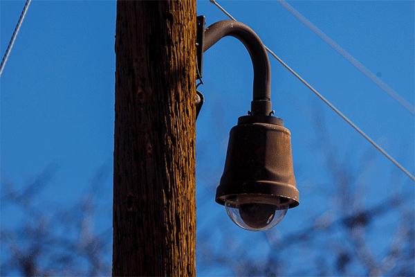 Canon EOS-1D Mark IV