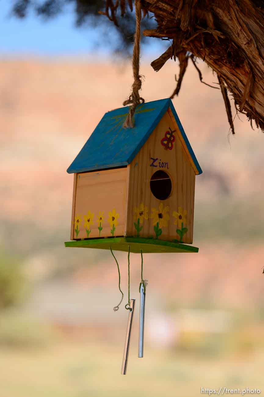 Polygamy in the American West