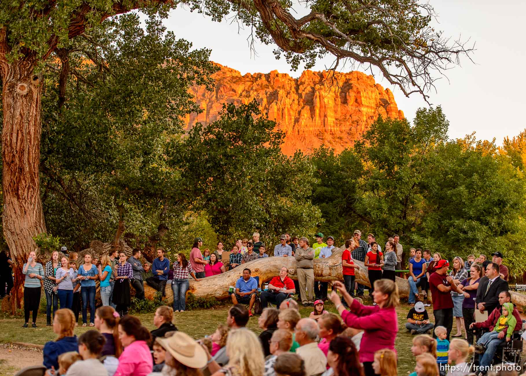 Polygamy in the American West