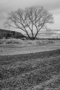 homes, Hildale/Colorado City, Friday March 16, 2018.