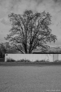 homes, Hildale/Colorado City, Friday March 16, 2018.