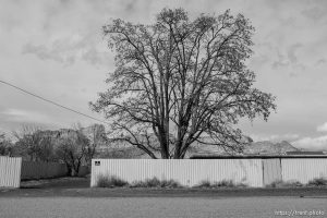 homes, Hildale/Colorado City, Friday March 16, 2018.