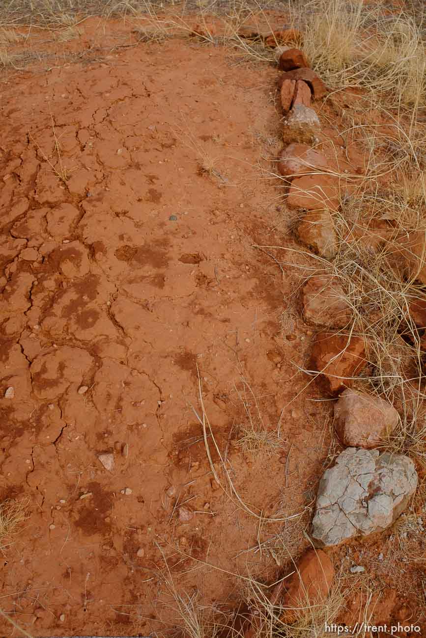 Polygamy in the American West