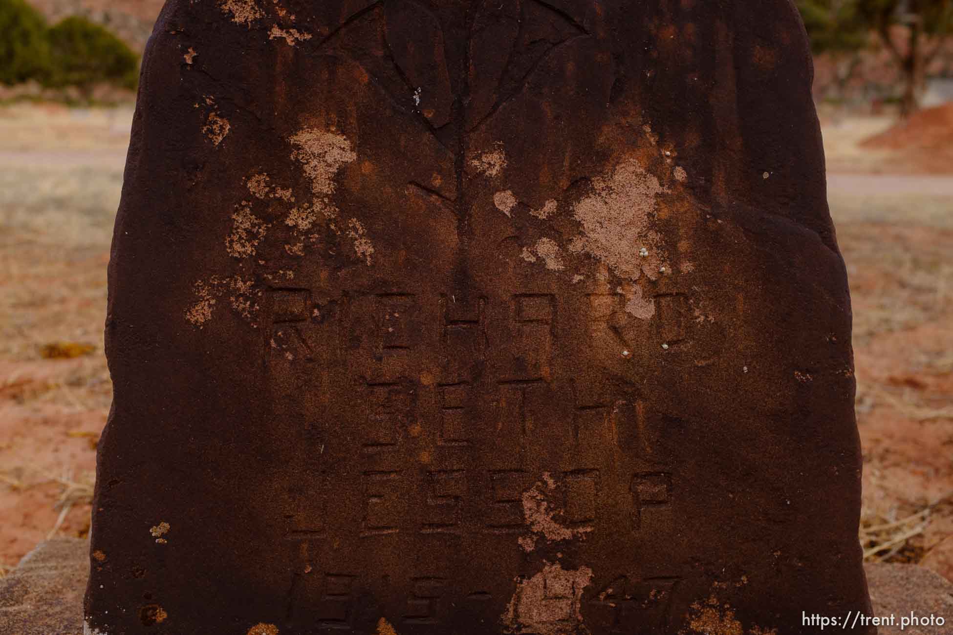 Polygamy in the American West