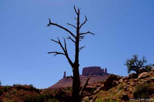 professor creek and mary jane canyon, Friday April 27, 2018.