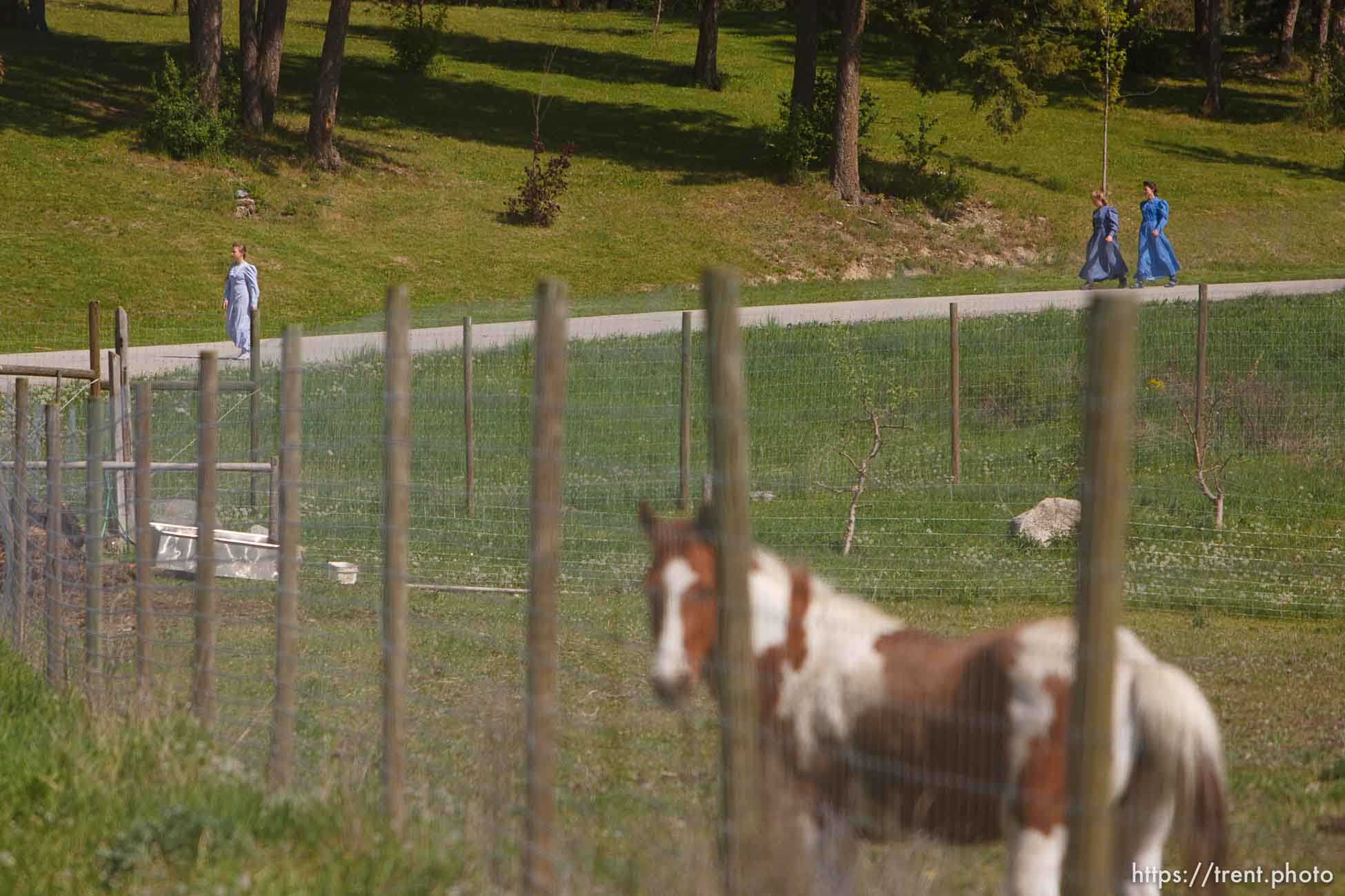 Canon EOS-1D Mark II N