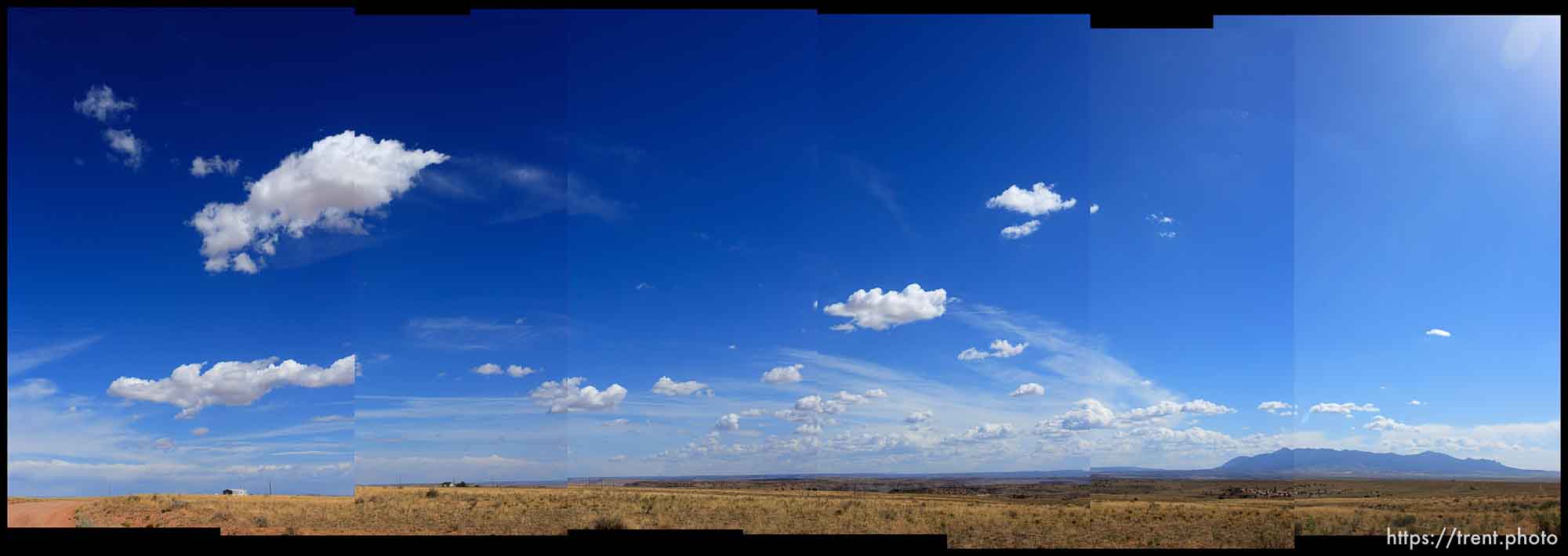 Canon EOS-1D Mark II N