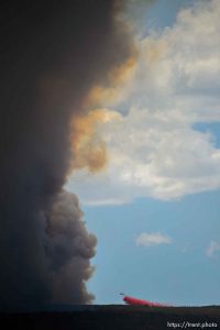 (Trent Nelson | The Salt Lake Tribune)
A plane dropping retardant on the Dollar Ridge Fire is dwarfed by smoke, in Duchesne County, Tuesday July 3, 2018.