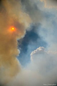 (Trent Nelson | The Salt Lake Tribune)The Dollar Ridge Fire in Duchesne County, Tuesday July 3, 2018.