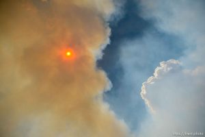 (Trent Nelson | The Salt Lake Tribune)The Dollar Ridge Fire in Duchesne County, Tuesday July 3, 2018.