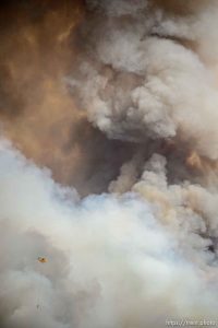 (Trent Nelson | The Salt Lake Tribune)   Helicopters and tankers fight the Dollar Ridge Fire at Strawberry Reservoir, Friday July 6, 2018.