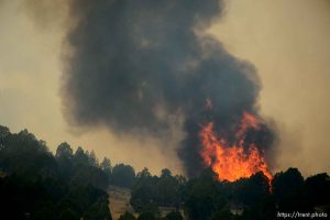 (Trent Nelson | The Salt Lake Tribune)  The Coal Hollow Fire burns along Highway 6 in Utah County, Thursday Aug. 9, 2018.