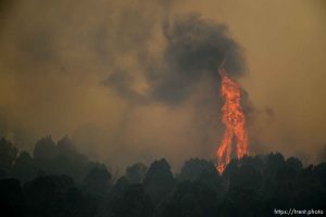 (Trent Nelson | The Salt Lake Tribune)  The Coal Hollow Fire burns along Highway 6 in Utah County, Thursday Aug. 9, 2018.