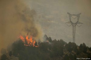 (Trent Nelson | The Salt Lake Tribune)  The Coal Hollow Fire burns along Highway 6 in Utah County, Thursday Aug. 9, 2018.
