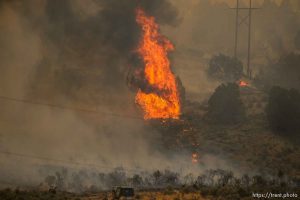 (Trent Nelson | The Salt Lake Tribune)  The Coal Hollow Fire burns along Highway 6 in Utah County, Thursday Aug. 9, 2018.