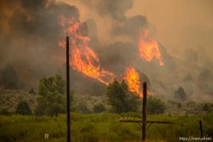 (Trent Nelson | The Salt Lake Tribune)  The Coal Hollow Fire burns along Highway 6 in Utah County, Thursday Aug. 9, 2018.