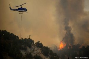 (Trent Nelson | The Salt Lake Tribune)  The Coal Hollow Fire burns along Highway 6 in Utah County, Thursday Aug. 9, 2018.