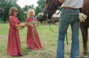 Brooke England (left) and Jackie Taylor feed hay to 