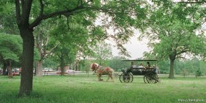 73-year-old Archie Durham and his two Belgian horses (Bob and Bill) take some wagoneers on a ride around a Nauvoo, IL, field where the JL2 Authentic Wagon Train is gathering. Drivers spent Sunday checking their horse teams and wagons and getting ready for Monday's sunrise ferry trip across the Mississippi River to Montrose, Iowa. The wagon Durham is driving is a $12,000 customized luxury wagon he calls 