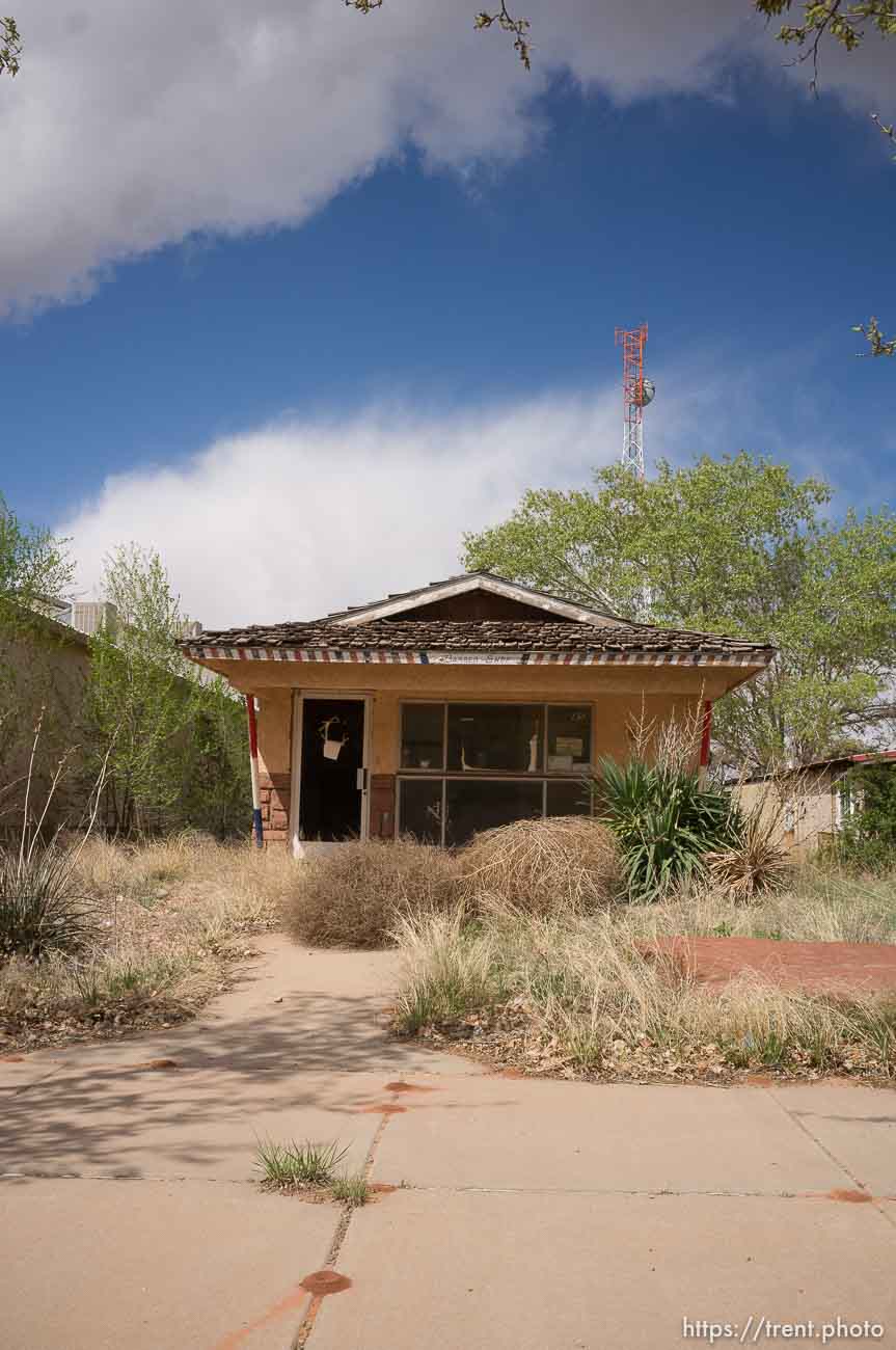 Polygamy in the American West