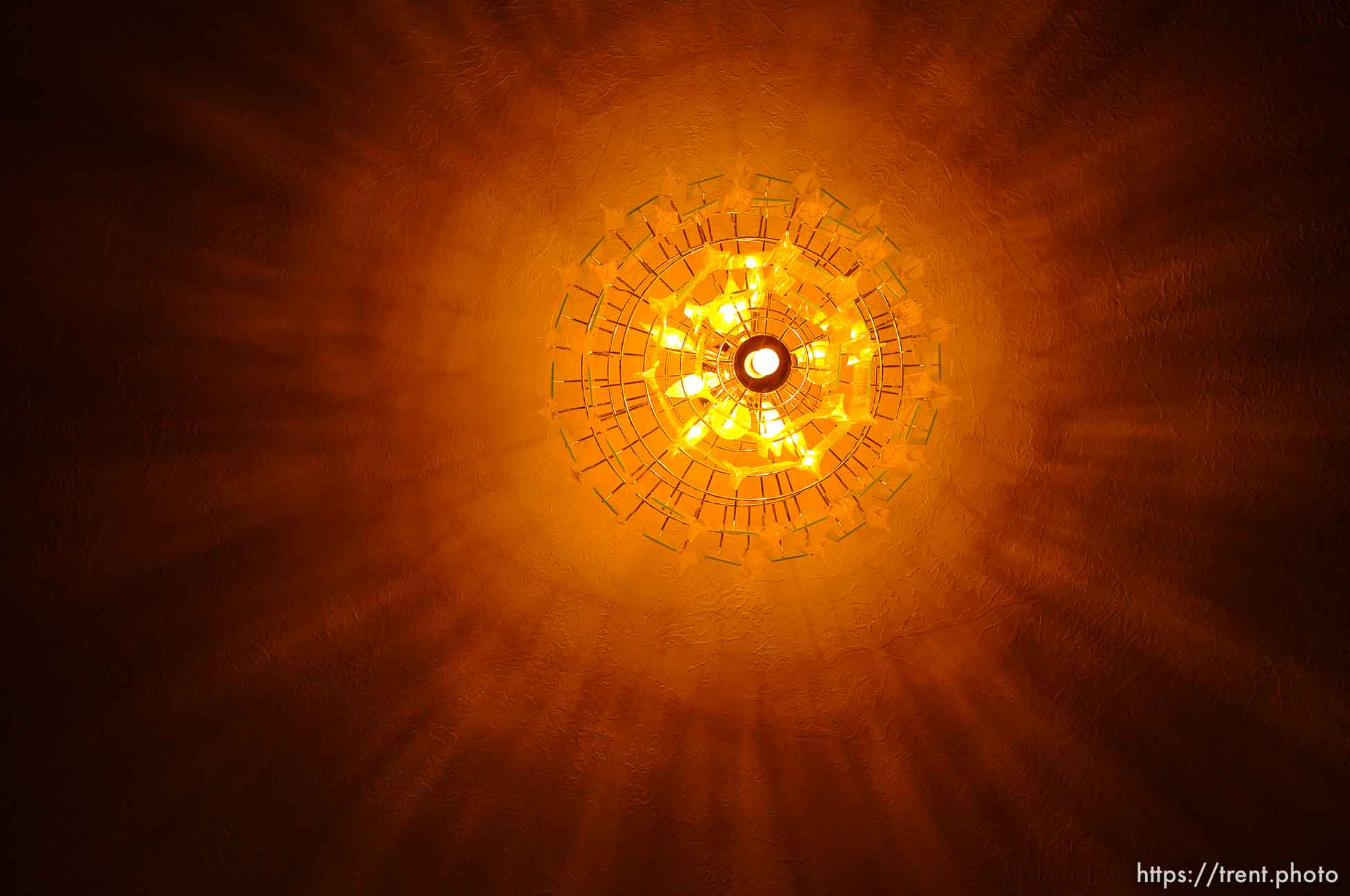 Polygamy in the American West