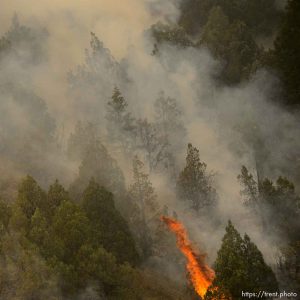 (Trent Nelson | The Salt Lake Tribune)  The Coal Hollow Fire burns along Highway 6 in Utah County, Friday Aug. 10, 2018.
