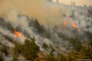 (Trent Nelson | The Salt Lake Tribune)  The Coal Hollow Fire burns along Highway 6 in Utah County, Friday Aug. 10, 2018.