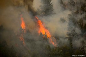 (Trent Nelson | The Salt Lake Tribune)  The Coal Hollow Fire burns along Highway 6 in Utah County, Friday Aug. 10, 2018.