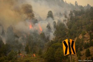 (Trent Nelson | The Salt Lake Tribune)  The Coal Hollow Fire burns along Highway 6 in Utah County, Friday Aug. 10, 2018.