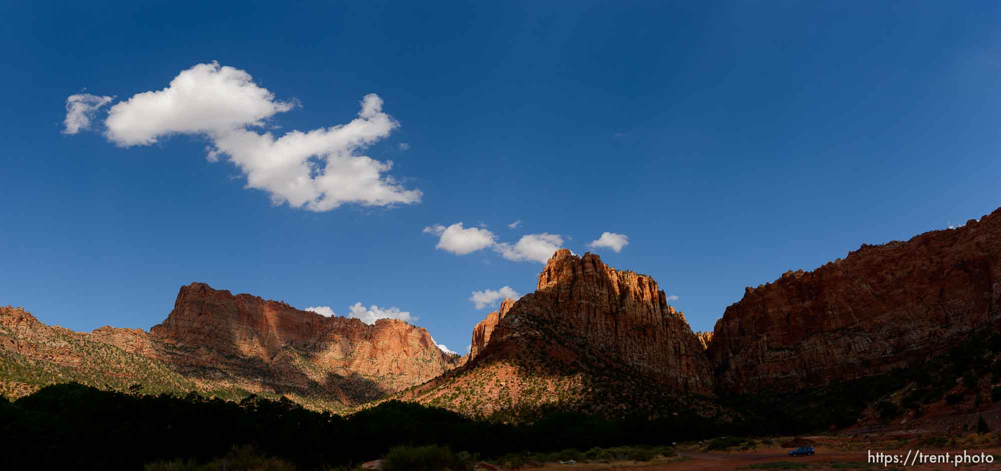 Polygamy in the American West