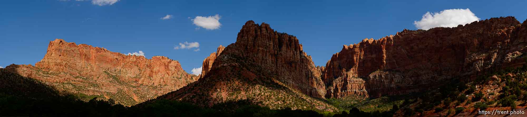 Polygamy in the American West