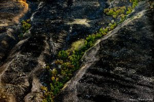 Trent Nelson  |  The Salt Lake Tribune An aerial view of Antelope Island, showing the scope of the damage caused by a fire that burned up much of the island. Wednesday July 27, 2016, Axiom Aviation.