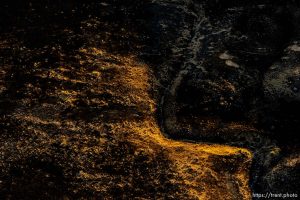 Trent Nelson  |  The Salt Lake Tribune An aerial view of Antelope Island, showing the scope of the damage caused by a fire that burned up much of the island. Wednesday July 27, 2016, Axiom Aviation.