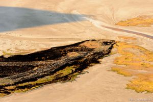 Trent Nelson  |  The Salt Lake Tribune An aerial view of Antelope Island, showing the scope of the damage caused by a fire that burned up much of the island. Wednesday July 27, 2016, Axiom Aviation.