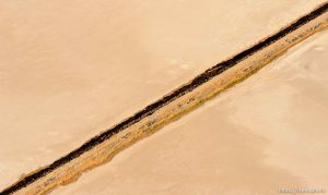 Trent Nelson  |  The Salt Lake Tribune An aerial view of Antelope Island, showing the scope of the damage caused by a fire that burned up much of the island. Wednesday July 27, 2016, Axiom Aviation.