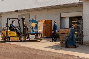 Trent Nelson  |  The Salt Lake Tribune FLDS members scramble to remove equipment from what had been the FLDS food storehouse in Colorado City, Ariz., as the UEP Trust takes over the property in an eviction, Monday May 8, 2017.