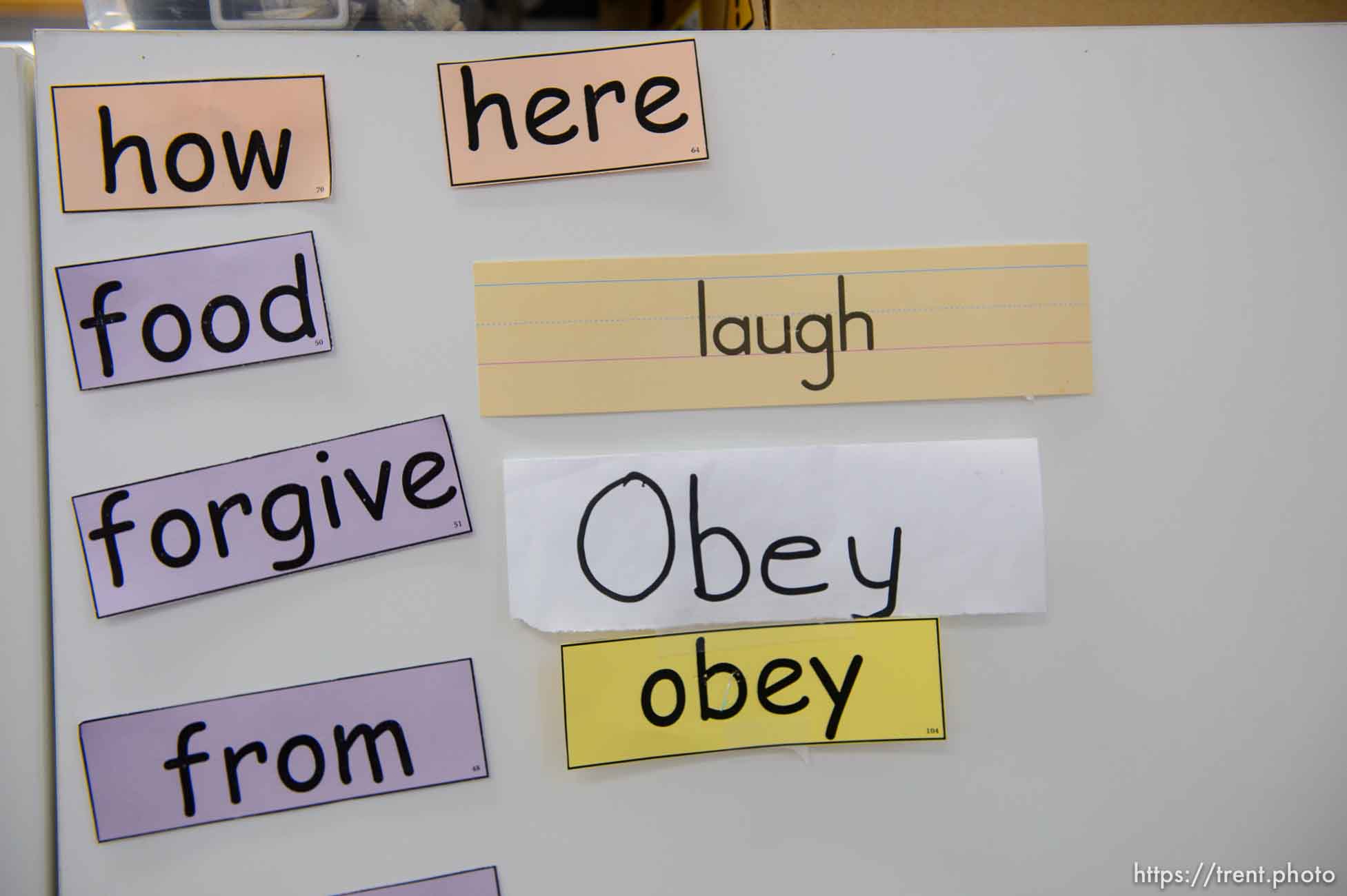 Polygamy in the American West