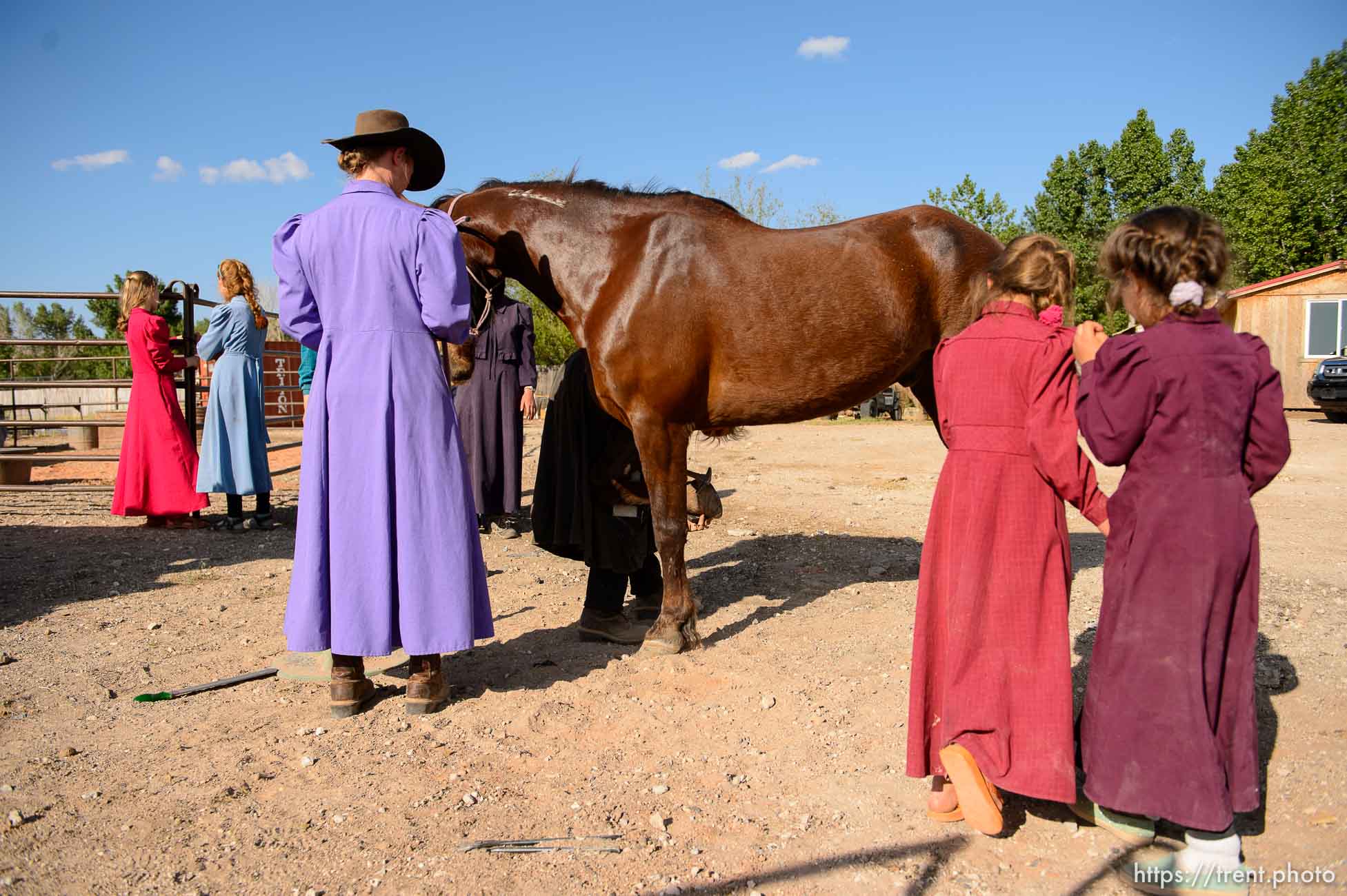 Polygamy in the American West