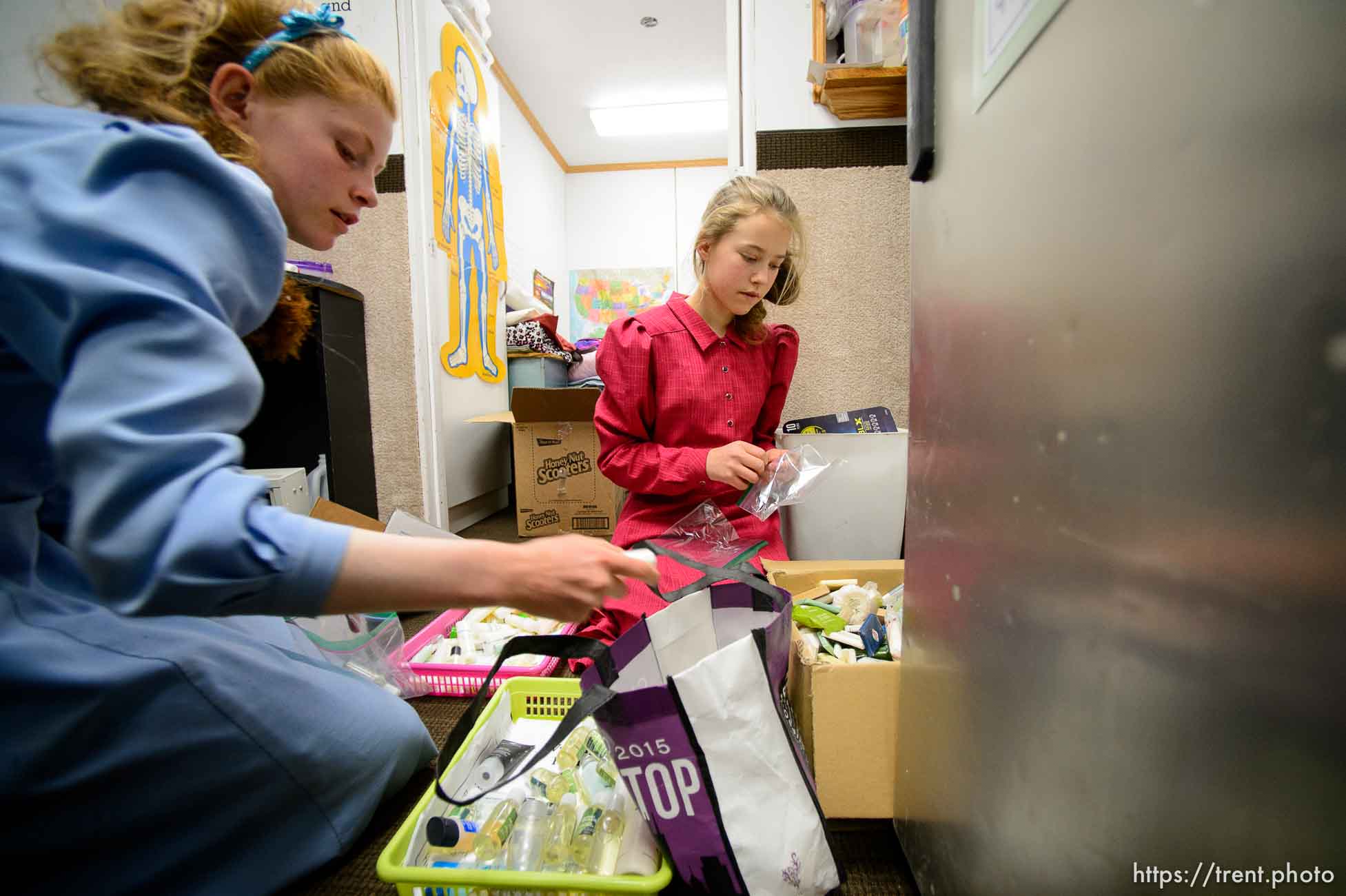 Polygamy in the American West