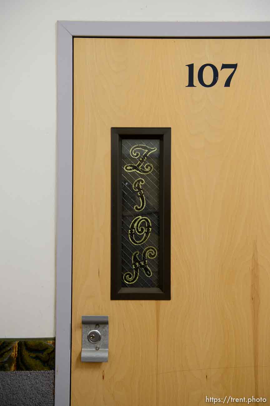 Polygamy in the American West